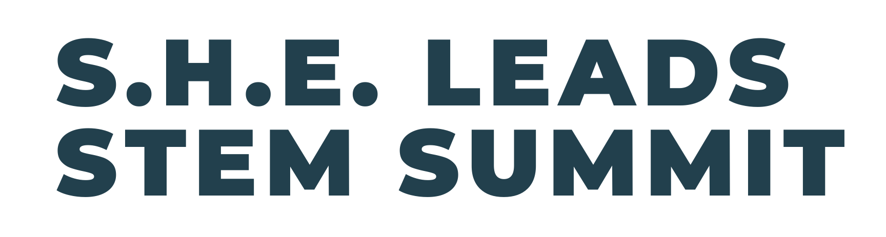 JA SHE Leads STEM Summit